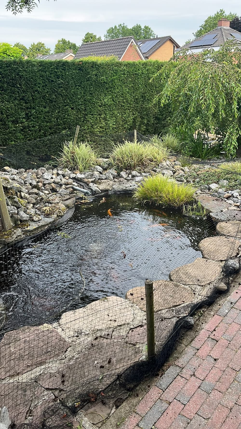 De bestaande vijver vóór de renovatie, afgedekt met een net, met een rand van natuursteen langs het klinkerpad.