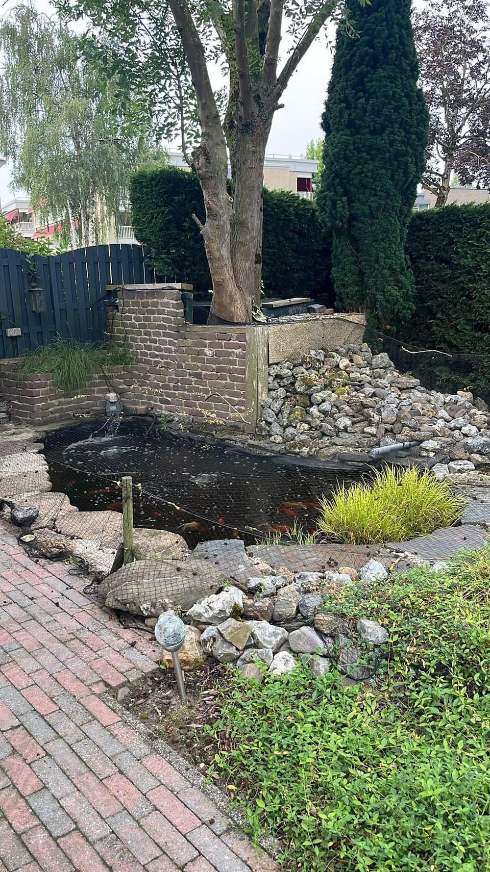 De oude situatie: een vijver tegen een gemetselde muur onder een boom, met keien en beplanting langs het klinkerpad.