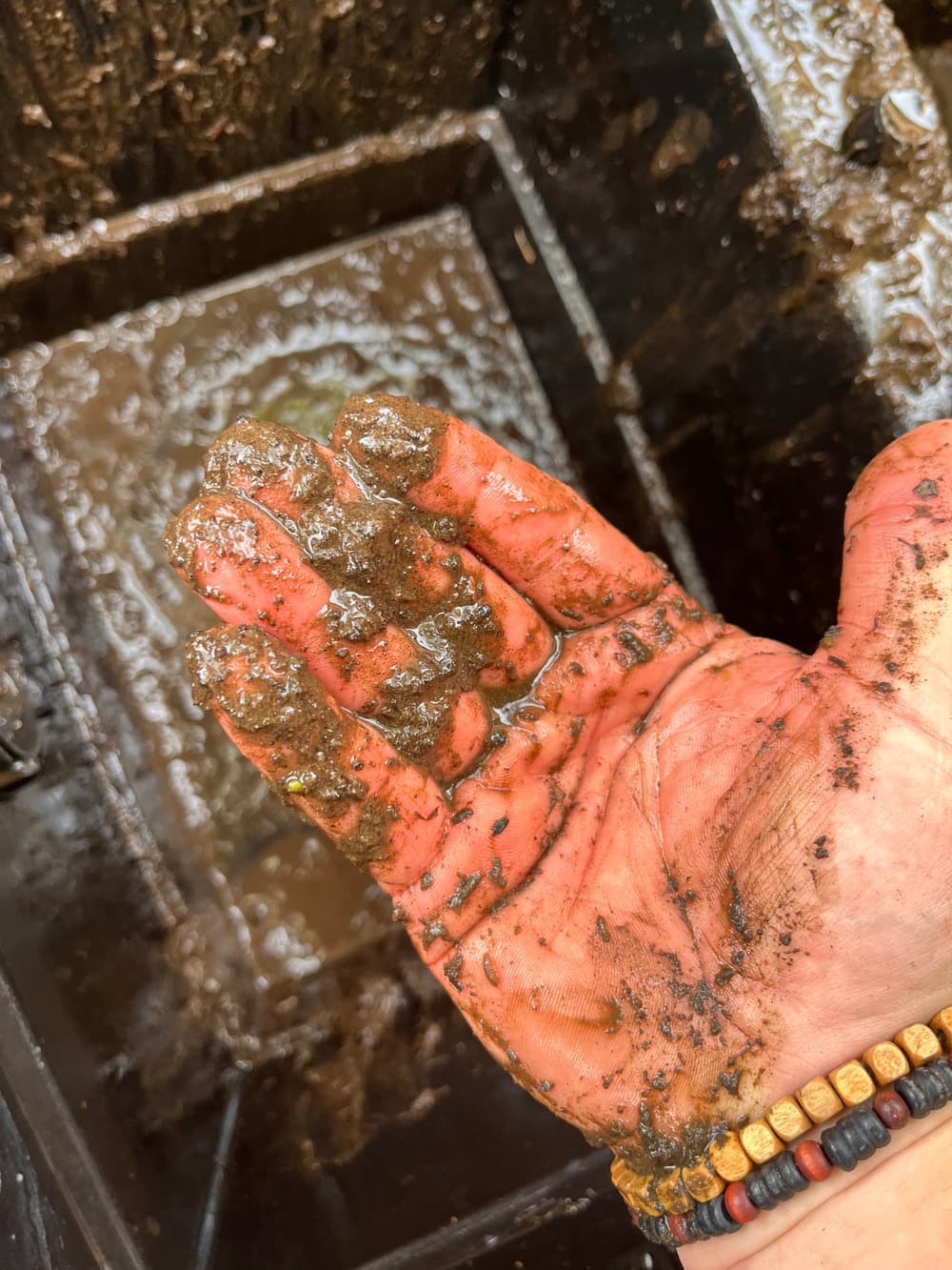 Een hand vol slib uit de filterbak, boven het troebele water in de kamer.