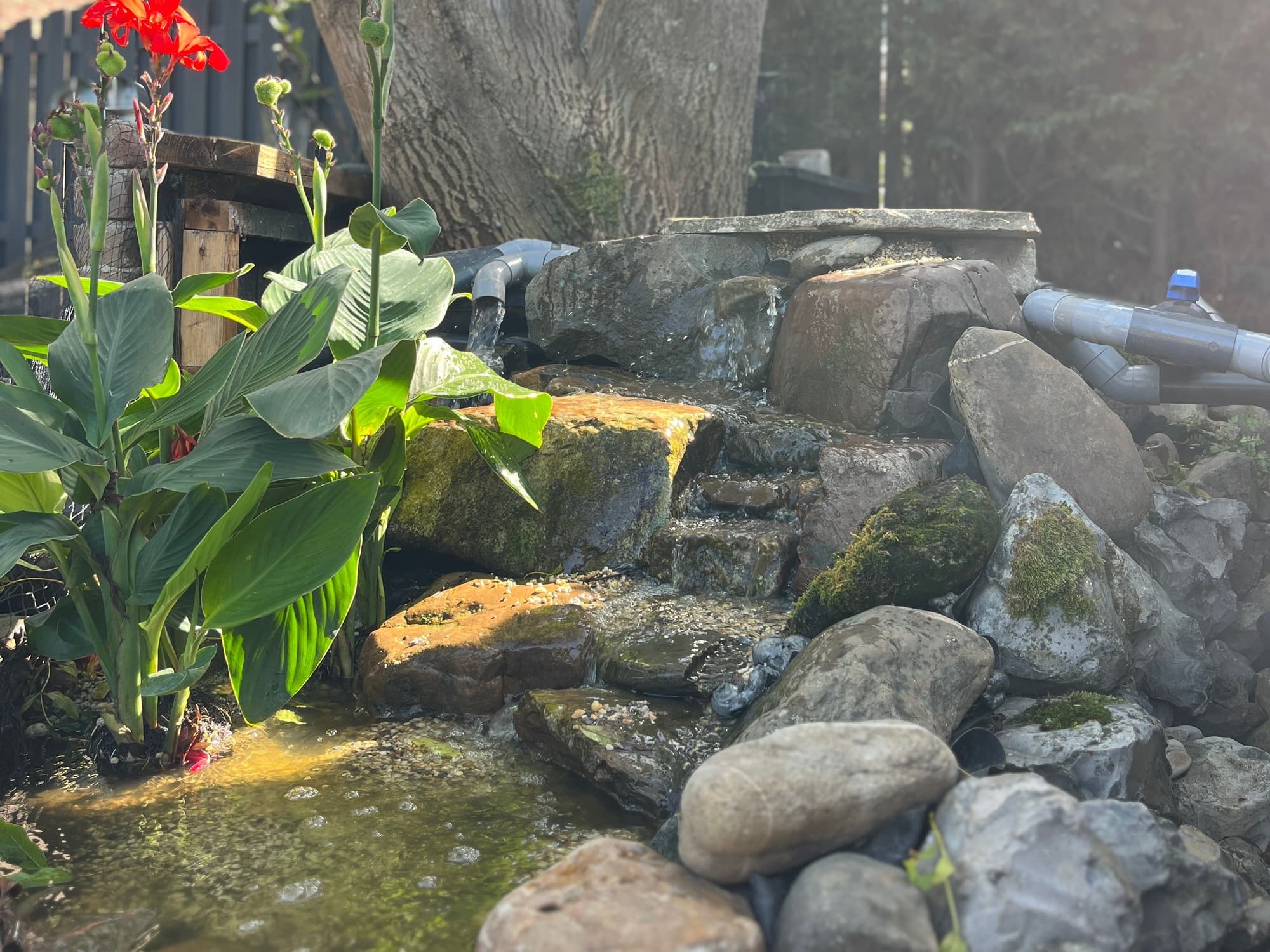 De waterval stroomt over natuursteen de vijver in, met een rood bloeiende canna ervoor en de leidingen met een kogelkraan erachter.